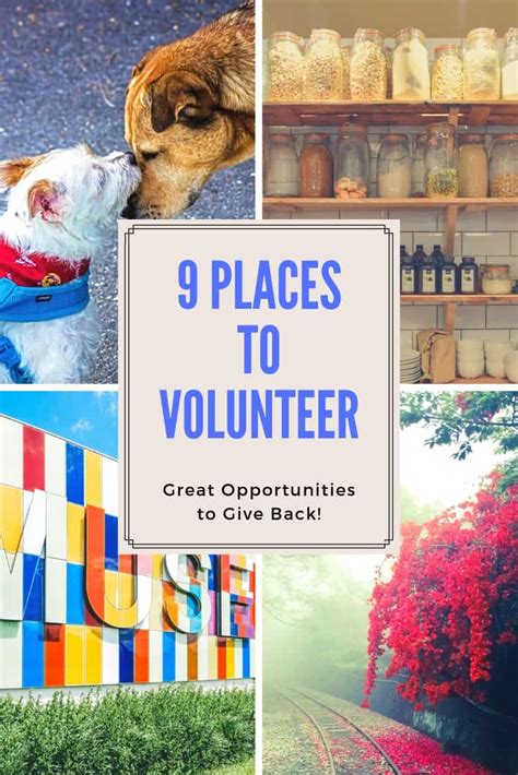 organization near me|community service organizations near me.
